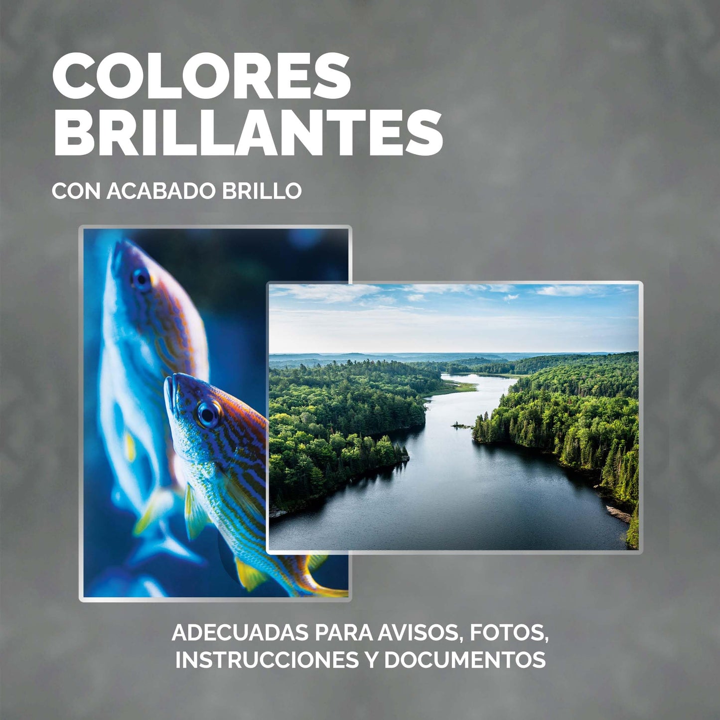Fellowes Fundas de Plastificar A5, acabado brillo, 100 hojas, 250 micras (2 x 125 micras), acabado de calidad, con indicadores direccionales Image Last, adecuadas para fotos, avisos y uso diario