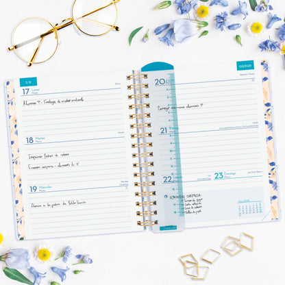 Agenda Docente 2024/25 Magistral Design | FINOCAM