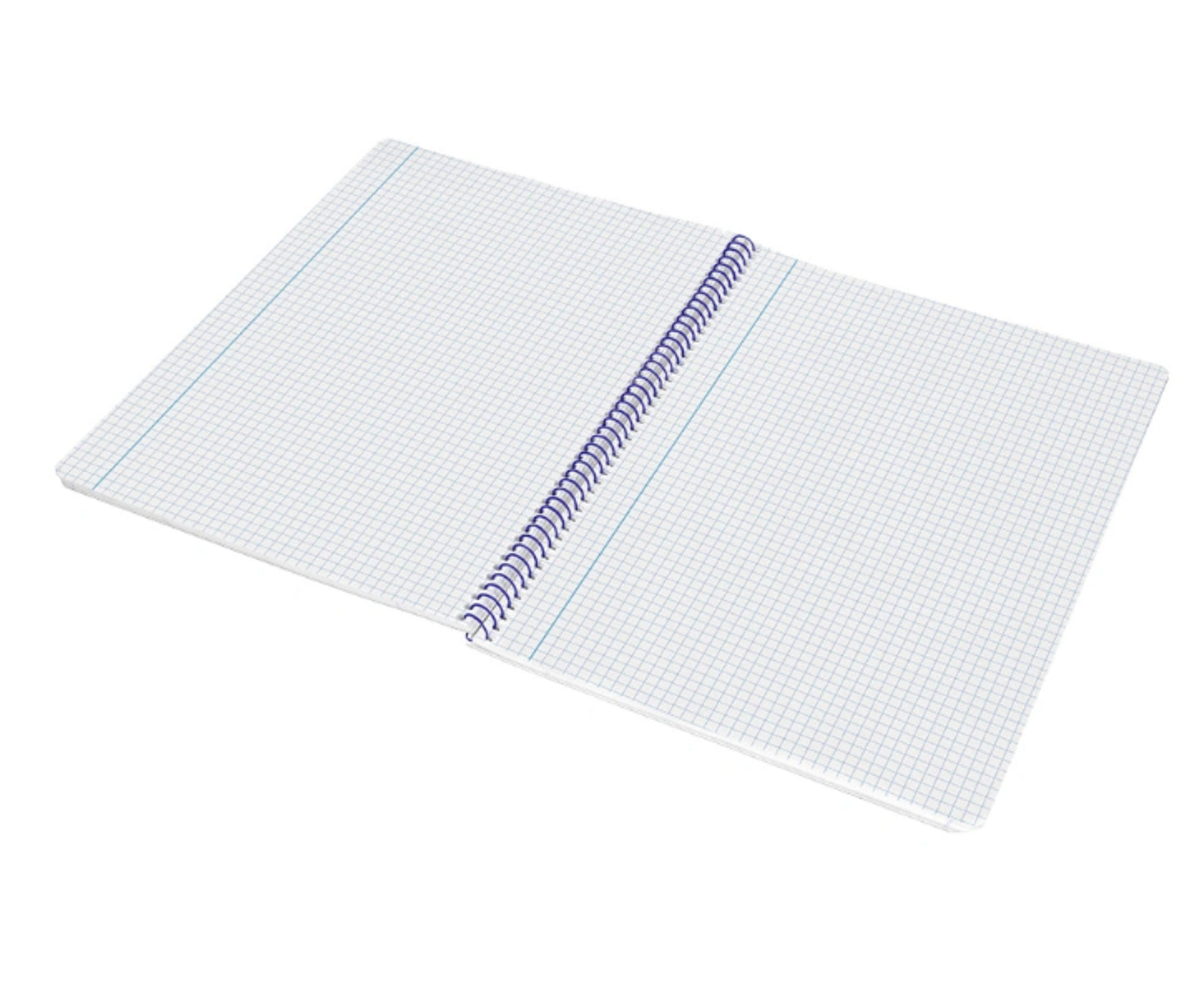 Cuadernos surtidos tamaño Folio, pack de 5 unidades | LIDERPAPEL - Cuadernos cuadrícula 4 mm, con margen, 80 hojas de 60 gramos, encuadernación en espiral // Ref: 08194