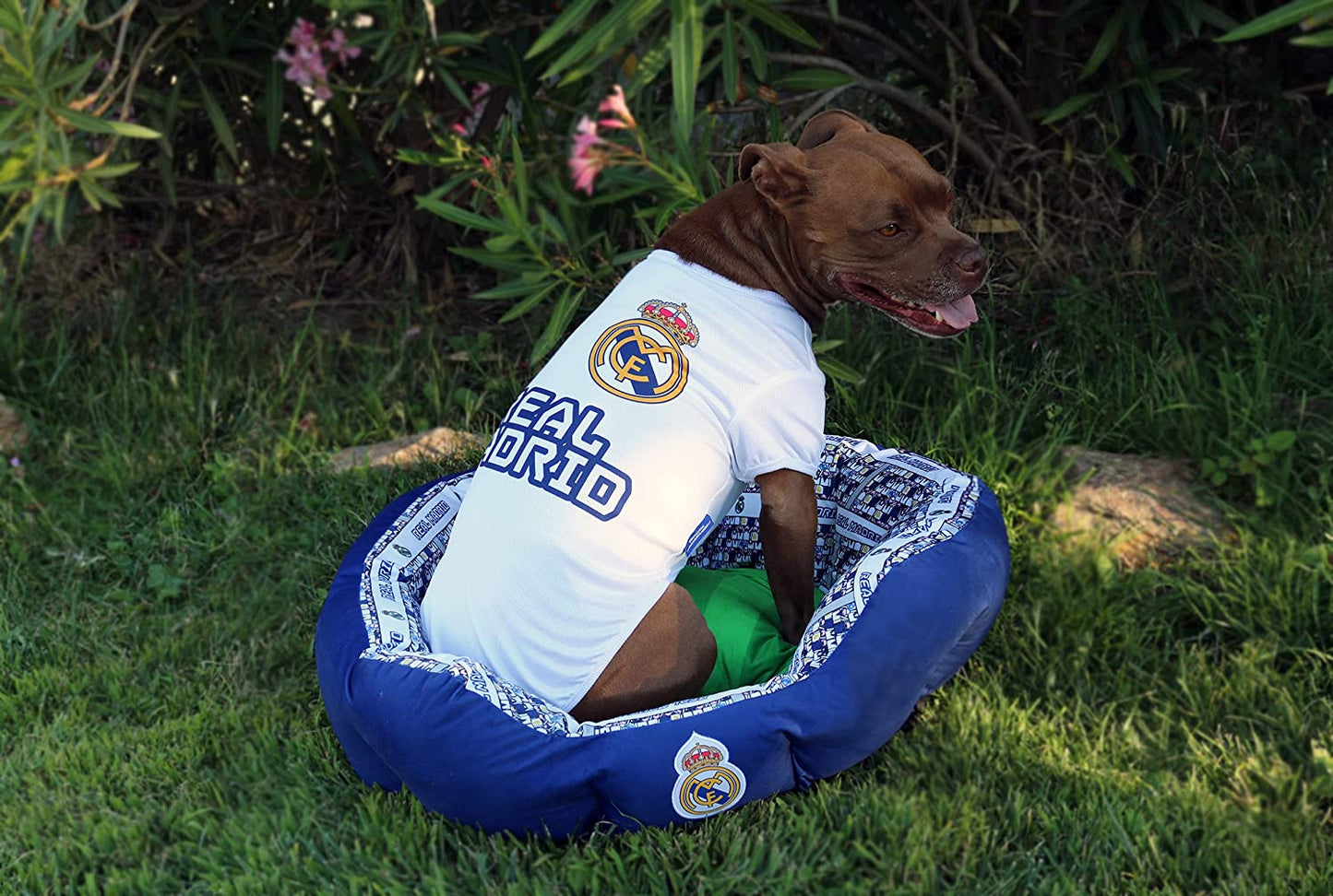 Cama 'Real Madrid' para mascotas - Talla S